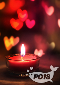 天鹅戏水原唱完整版